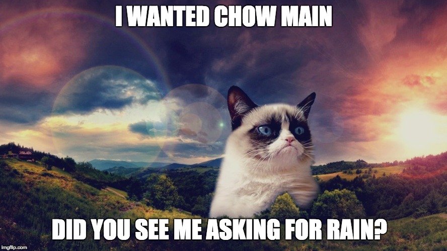 motivational grumpy cat | I WANTED CHOW MAIN; DID YOU SEE ME ASKING FOR RAIN? | image tagged in motivational grumpy cat | made w/ Imgflip meme maker