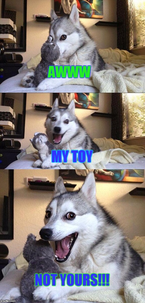 Bad Pun Dog | AWWW; MY TOY; NOT YOURS!!! | image tagged in memes,bad pun dog | made w/ Imgflip meme maker