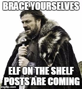 ned stark | BRACE YOURSELVES; ELF ON THE SHELF POSTS ARE COMING | image tagged in ned stark | made w/ Imgflip meme maker