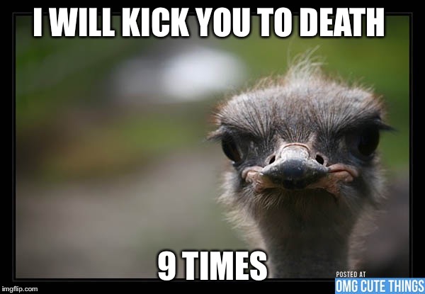 Disapproving ostrich  | I WILL KICK YOU TO DEATH 9 TIMES | image tagged in disapproving ostrich | made w/ Imgflip meme maker