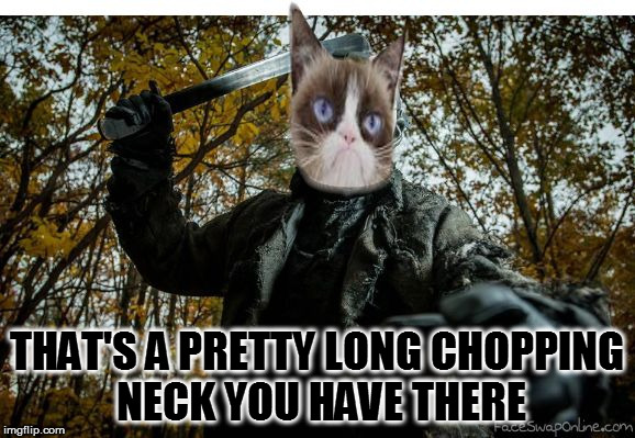 grumpy cat jason | THAT'S A PRETTY LONG CHOPPING NECK YOU HAVE THERE | image tagged in grumpy cat jason | made w/ Imgflip meme maker