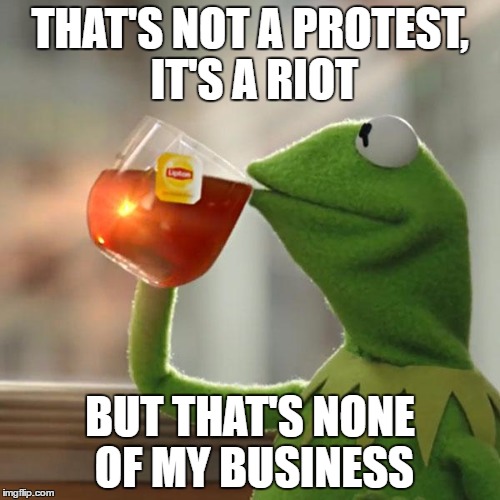 But That's None Of My Business | THAT'S NOT A PROTEST, IT'S A RIOT; BUT THAT'S NONE OF MY BUSINESS | image tagged in memes,but thats none of my business,kermit the frog | made w/ Imgflip meme maker