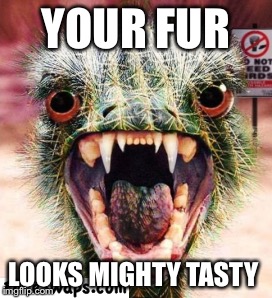 YOUR FUR LOOKS MIGHTY TASTY | made w/ Imgflip meme maker