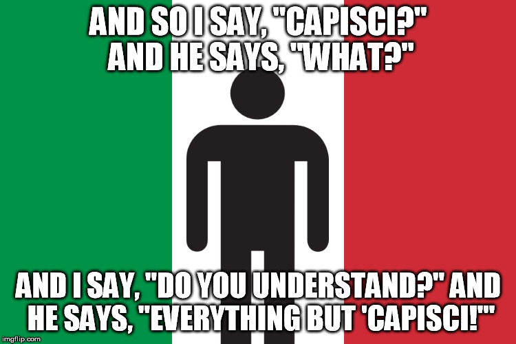 Average Italian Guy | AND SO I SAY, "CAPISCI?" AND HE SAYS, "WHAT?"; AND I SAY, "DO YOU UNDERSTAND?" AND HE SAYS, "EVERYTHING BUT 'CAPISCI!'" | image tagged in average italian guy | made w/ Imgflip meme maker