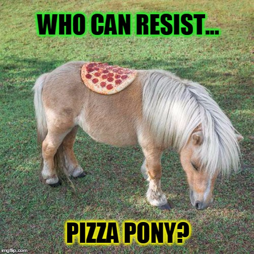 Pizza Pony is Real! | WHO CAN RESIST... PIZZA PONY? | image tagged in pizza,shetland pony,pony with a pizza saddle,vince vance | made w/ Imgflip meme maker