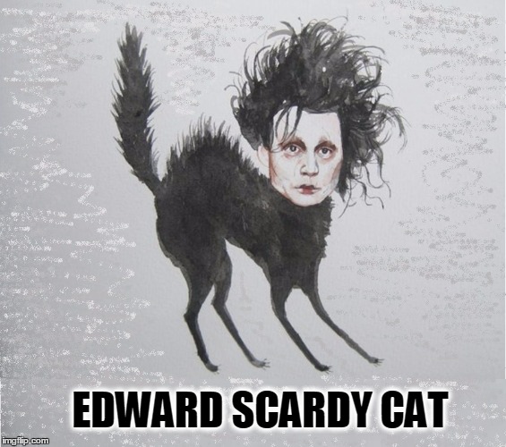 Edward Scardy Cat | EDWARD SCARDY CAT | image tagged in johnny depp,vince vance,edward scissorhands | made w/ Imgflip meme maker