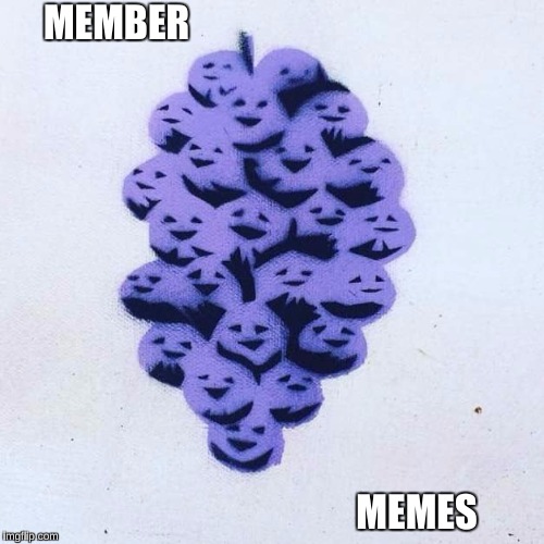 Remember | MEMBER; MEMES | image tagged in member berries | made w/ Imgflip meme maker