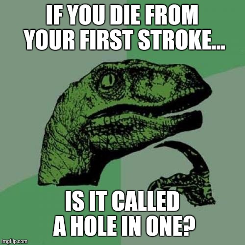 Philosoraptor | IF YOU DIE FROM YOUR FIRST STROKE... IS IT CALLED A HOLE IN ONE? | image tagged in memes,philosoraptor | made w/ Imgflip meme maker