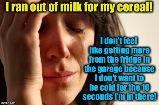 First World Problems Meme | I ran out of milk for my cereal! I don't feel like getting more from the fridge in the garage because I don't want to be cold for the 10 seconds I'm in there! | image tagged in memes,first world problems,evilmandoevil,funny,milk,cold | made w/ Imgflip meme maker