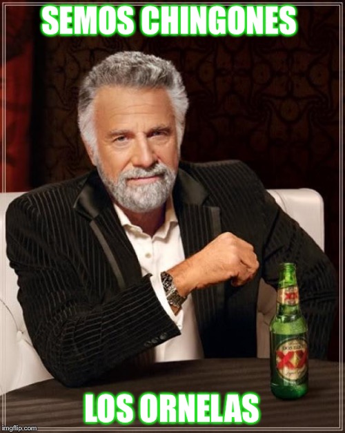 The Most Interesting Man In The World Meme | SEMOS CHINGONES; LOS ORNELAS | image tagged in memes,the most interesting man in the world | made w/ Imgflip meme maker