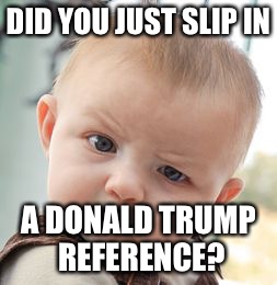 Skeptical Baby Meme | DID YOU JUST SLIP IN A DONALD TRUMP REFERENCE? | image tagged in memes,skeptical baby | made w/ Imgflip meme maker