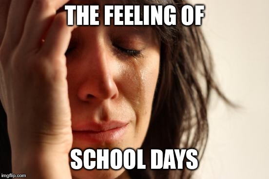 First World Problems Meme | THE FEELING OF SCHOOL DAYS | image tagged in memes,first world problems | made w/ Imgflip meme maker