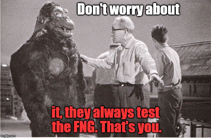 Kong with Director | Don't worry about it, they always test the FNG. That's you. | image tagged in kong with director | made w/ Imgflip meme maker