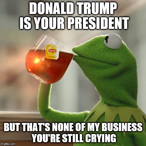 But Thats None Of My Business | DONALD TRUMP IS YOUR PRESIDENT; BUT THAT'S NONE OF MY BUSINESS  YOU'RE STILL CRYING | image tagged in memes,but thats none of my business,kermit the frog,donald trump,donald trump approves | made w/ Imgflip meme maker