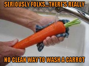 Go ahead baby...stroke that carrot!!! | SERIOUSLY FOLKS...THERE'S REALLY; NO CLEAN WAY TO WASH A CARROT | image tagged in washing a carrot,memes,vegetables,funny,dirty mind,carrot love | made w/ Imgflip meme maker