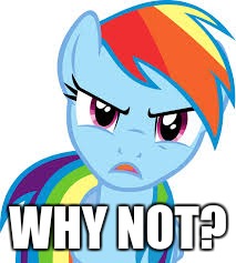 Angry Rainbow Dash | WHY NOT? | image tagged in angry rainbow dash | made w/ Imgflip meme maker