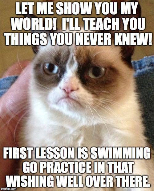 Upvote this or else Grumpy cat will teach you a lesson too | LET ME SHOW YOU MY WORLD!  I'LL TEACH YOU THINGS YOU NEVER KNEW! FIRST LESSON IS SWIMMING GO PRACTICE IN THAT WISHING WELL OVER THERE. | image tagged in memes,grumpy cat | made w/ Imgflip meme maker