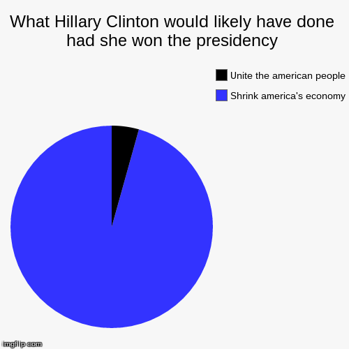 What Hillary Clinton would likely have done had she won the presidency | Shrink america's economy, Unite the american people | image tagged in funny,pie charts | made w/ Imgflip chart maker