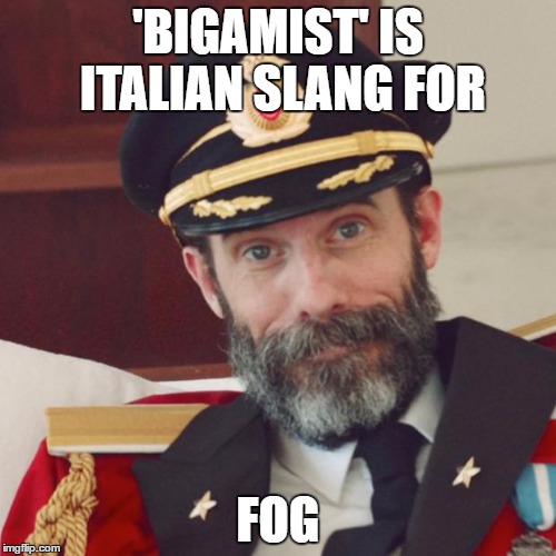 Captain Obvious | 'BIGAMIST' IS ITALIAN SLANG FOR; FOG | image tagged in captain obvious | made w/ Imgflip meme maker