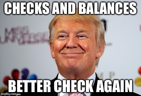 Donald trump approves | CHECKS AND BALANCES; BETTER CHECK AGAIN | image tagged in donald trump approves | made w/ Imgflip meme maker