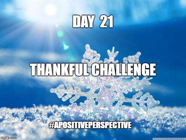snowflake | DAY  21; THANKFUL CHALLENGE; #APOSITIVEPERSPECTIVE | image tagged in snowflake | made w/ Imgflip meme maker