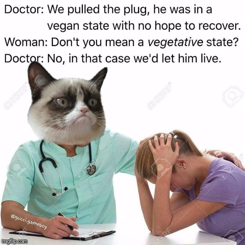 Dr. Grumpy Cat and the sad tale of the vegan patient | image tagged in grumpy cat,vegan,doctor | made w/ Imgflip meme maker