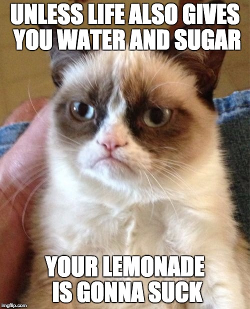 Grumpy Cat | UNLESS LIFE ALSO GIVES YOU WATER AND SUGAR; YOUR LEMONADE IS GONNA SUCK | image tagged in memes,grumpy cat | made w/ Imgflip meme maker