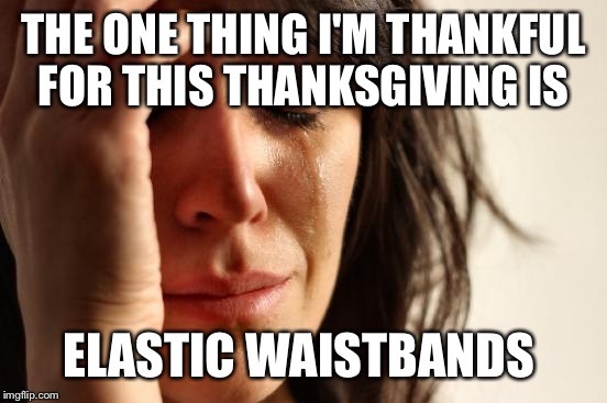 Come on, it is a great invention... But I feel there would be less obesity if every one was forced to wear pants with zippers.  | THE ONE THING I'M THANKFUL FOR THIS THANKSGIVING IS; ELASTIC WAISTBANDS | image tagged in memes,first world problems | made w/ Imgflip meme maker