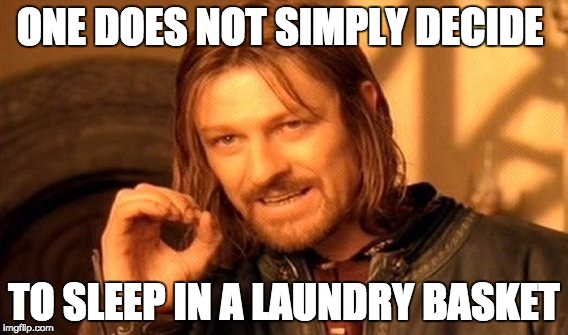 One Does Not Simply Meme | ONE DOES NOT SIMPLY DECIDE; TO SLEEP IN A LAUNDRY BASKET | image tagged in memes,one does not simply | made w/ Imgflip meme maker