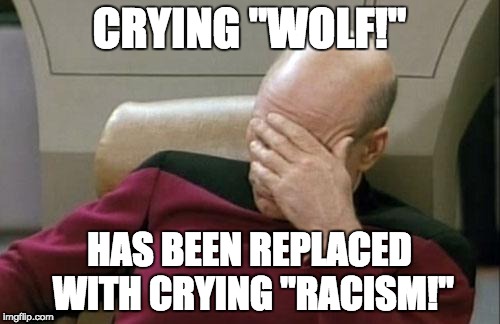 Captain Picard Facepalm Meme | CRYING "WOLF!" HAS BEEN REPLACED WITH CRYING "RACISM!" | image tagged in memes,captain picard facepalm | made w/ Imgflip meme maker