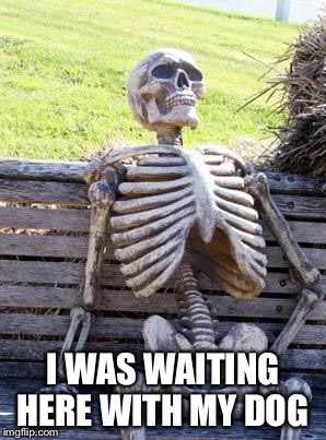 Waiting Skeleton Meme | I WAS WAITING HERE WITH MY DOG | image tagged in memes,waiting skeleton | made w/ Imgflip meme maker