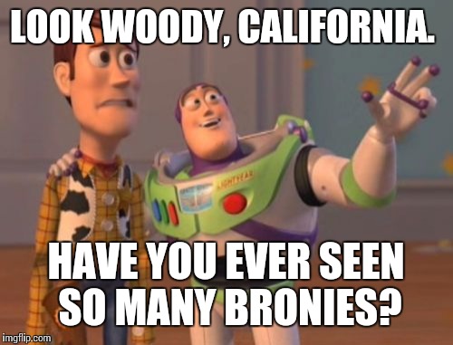 When you're out of your comfort zone | LOOK WOODY, CALIFORNIA. HAVE YOU EVER SEEN SO MANY BRONIES? | image tagged in memes,x x everywhere,buzz and woody,california | made w/ Imgflip meme maker
