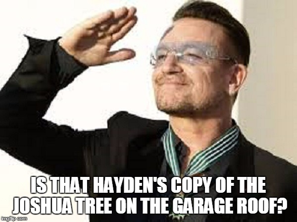 IS THAT HAYDEN'S COPY OF THE JOSHUA TREE ON THE GARAGE ROOF? | made w/ Imgflip meme maker