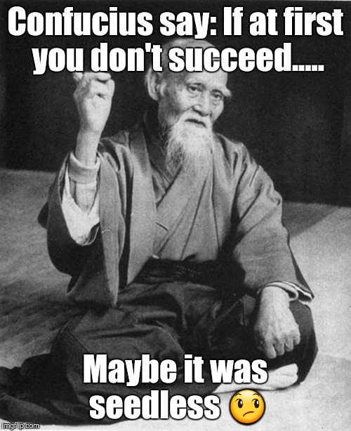 Confucius say | Confucius say: If at first you don't succeed..... Maybe it was seedless 😞 | image tagged in confucius say | made w/ Imgflip meme maker