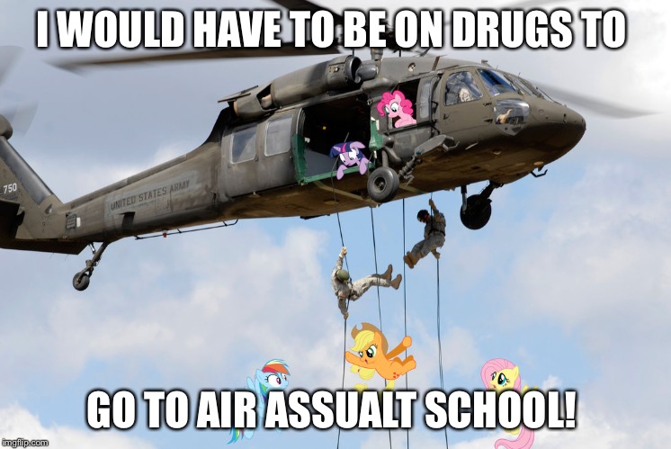 Air Assualt School | I WOULD HAVE TO BE ON DRUGS TO; GO TO AIR ASSUALT SCHOOL! | image tagged in air assualt school | made w/ Imgflip meme maker