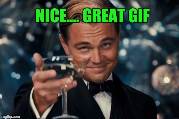 Leonardo Dicaprio Cheers Meme | NICE.... GREAT GIF | image tagged in memes,leonardo dicaprio cheers | made w/ Imgflip meme maker