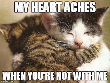 Hug Cats | MY HEART ACHES; WHEN YOU'RE NOT WITH ME | image tagged in memes,cats | made w/ Imgflip meme maker
