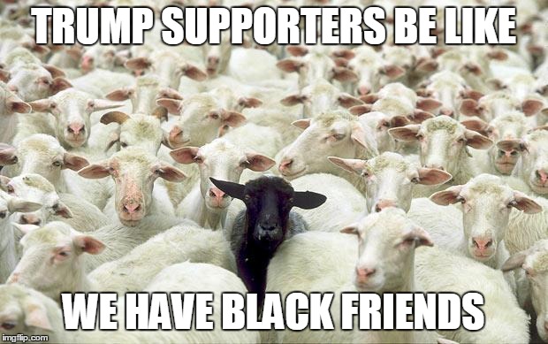 black sheep | TRUMP SUPPORTERS BE LIKE; WE HAVE BLACK FRIENDS | image tagged in black sheep | made w/ Imgflip meme maker