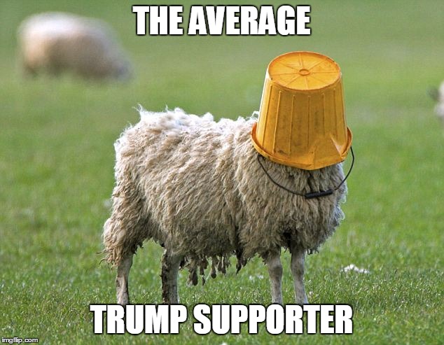 stupid sheep | THE AVERAGE; TRUMP SUPPORTER | image tagged in stupid sheep | made w/ Imgflip meme maker