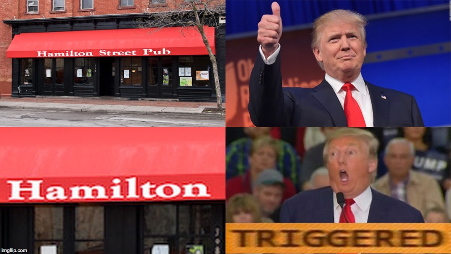 image tagged in donald trump,hamilton,triggered,safe space,irony | made w/ Imgflip meme maker