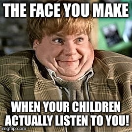 Tommy Boy | THE FACE YOU MAKE; WHEN YOUR CHILDREN ACTUALLY LISTEN TO YOU! | image tagged in tommy boy | made w/ Imgflip meme maker