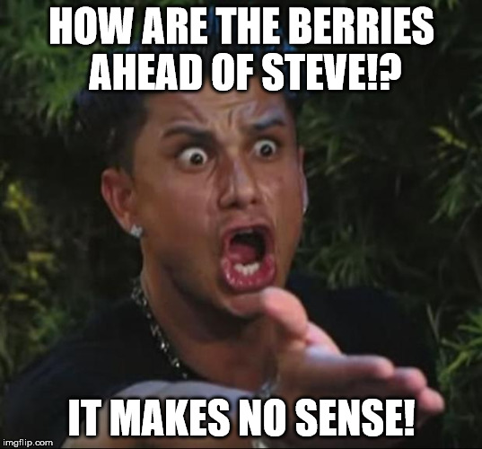 Pauly | HOW ARE THE BERRIES AHEAD OF STEVE!? IT MAKES NO SENSE! | image tagged in pauly | made w/ Imgflip meme maker