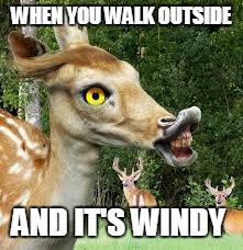 WHEN YOU WALK OUTSIDE; AND IT'S WINDY | image tagged in derre | made w/ Imgflip meme maker