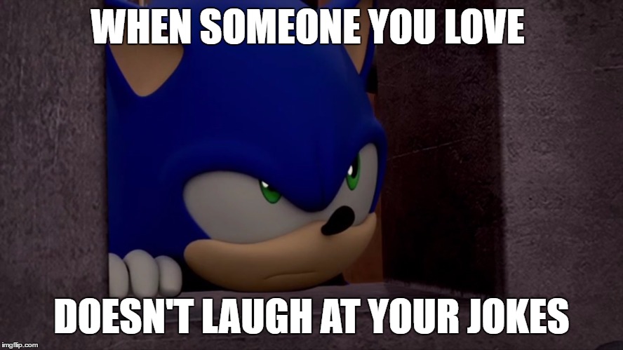 Sonic is Not Impressed - Sonic Boom | WHEN SOMEONE YOU LOVE; DOESN'T LAUGH AT YOUR JOKES | image tagged in sonic is not impressed - sonic boom | made w/ Imgflip meme maker