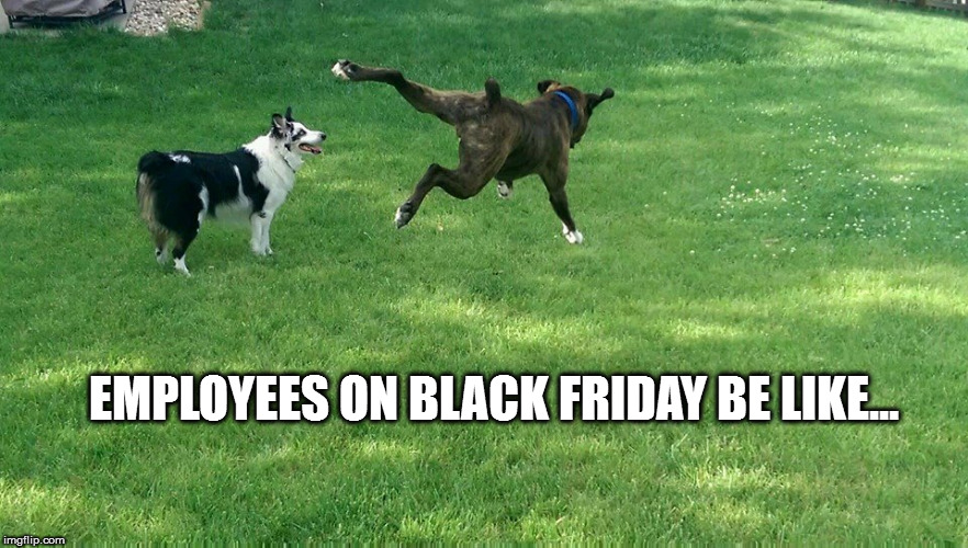 EMPLOYEES ON BLACK FRIDAY BE LIKE... | image tagged in black friday | made w/ Imgflip meme maker