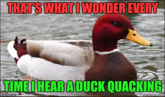 THAT'S WHAT I WONDER EVERY TIME I HEAR A DUCK QUACKING | made w/ Imgflip meme maker