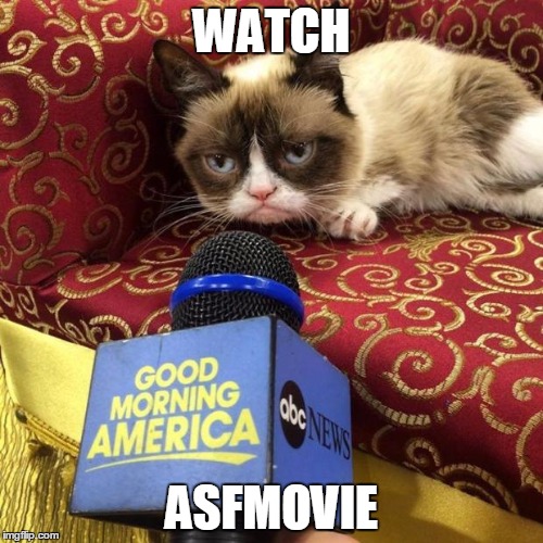 grumpy cat news | WATCH; ASFMOVIE | image tagged in grumpy cat news | made w/ Imgflip meme maker