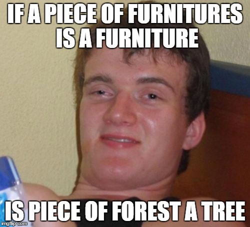 10 Guy | IF A PIECE OF FURNITURES IS A FURNITURE; IS PIECE OF FOREST A TREE | image tagged in memes,10 guy | made w/ Imgflip meme maker