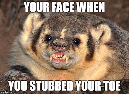 Angry Badger | YOUR FACE WHEN; YOU STUBBED YOUR TOE | image tagged in angry badger | made w/ Imgflip meme maker