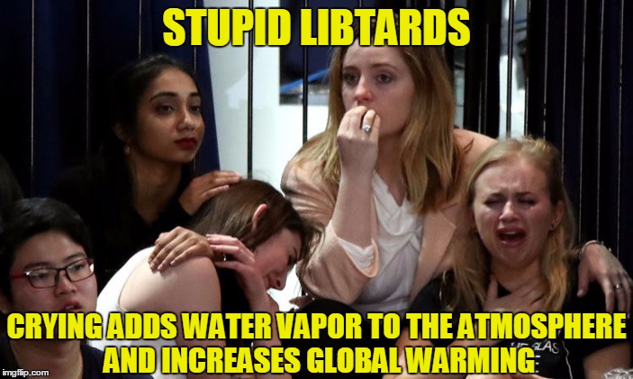 Stupid Libtards | STUPID LIBTARDS; CRYING ADDS WATER VAPOR TO THE ATMOSPHERE AND INCREASES GLOBAL WARMING | image tagged in stupid libtards | made w/ Imgflip meme maker